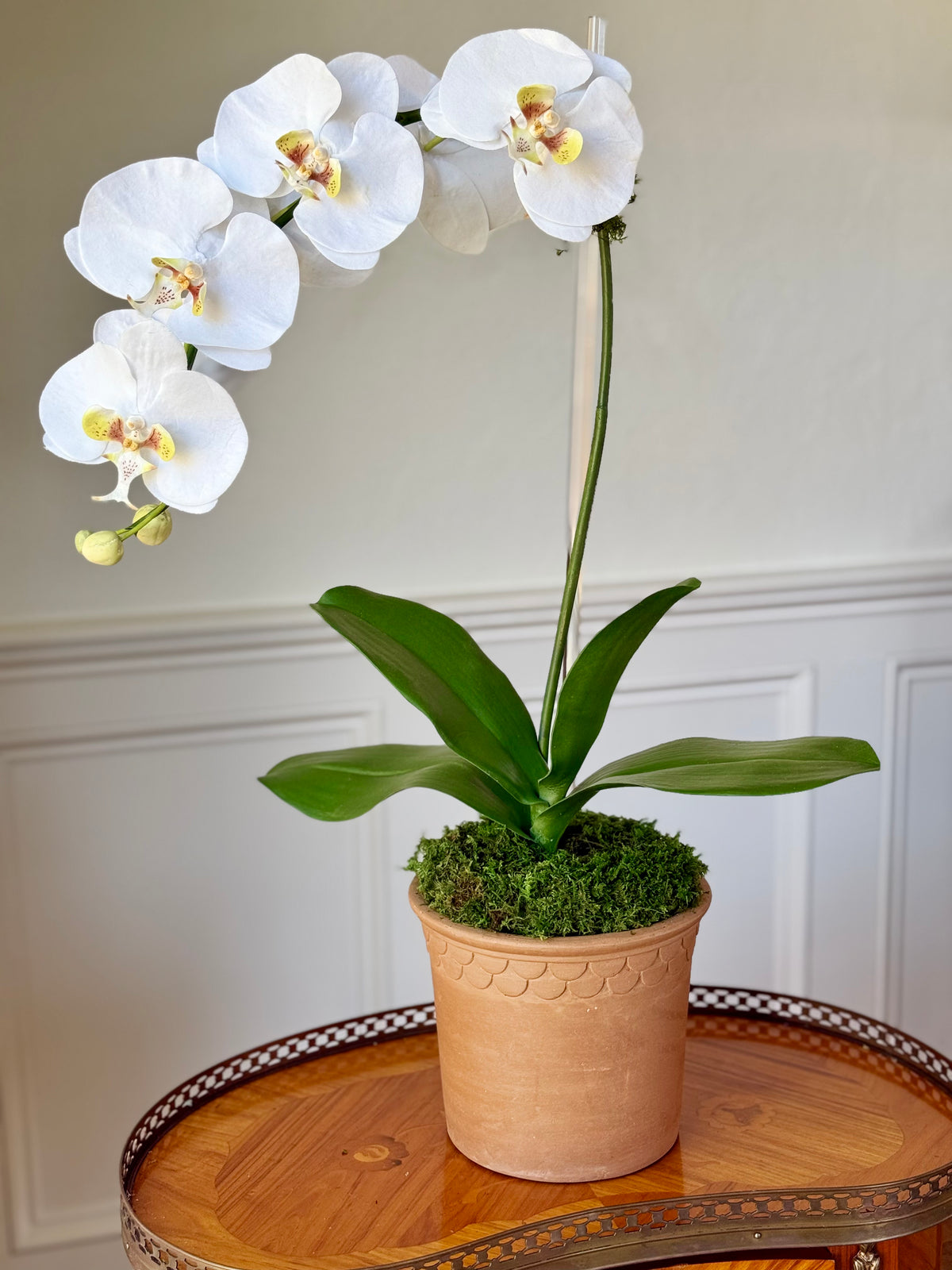 Scalloped Terra Cotta Pot + 1 Classic White Faux Orchid