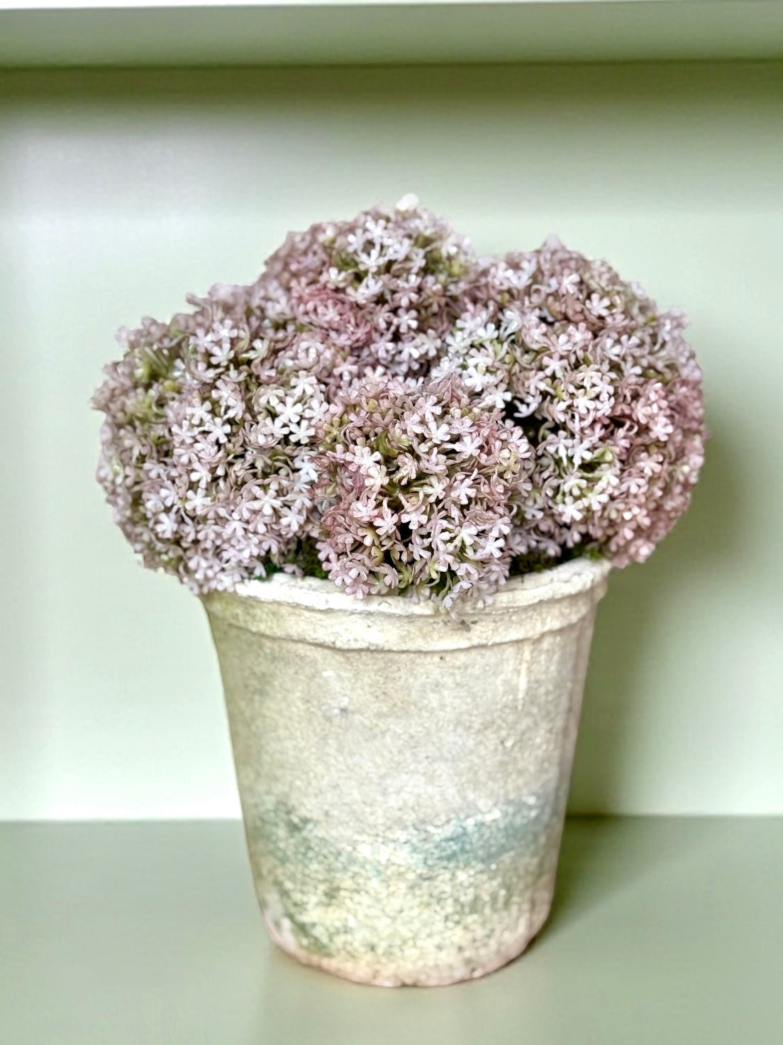 Mossy Cream Terracotta Pot + Faux Allium Bundle