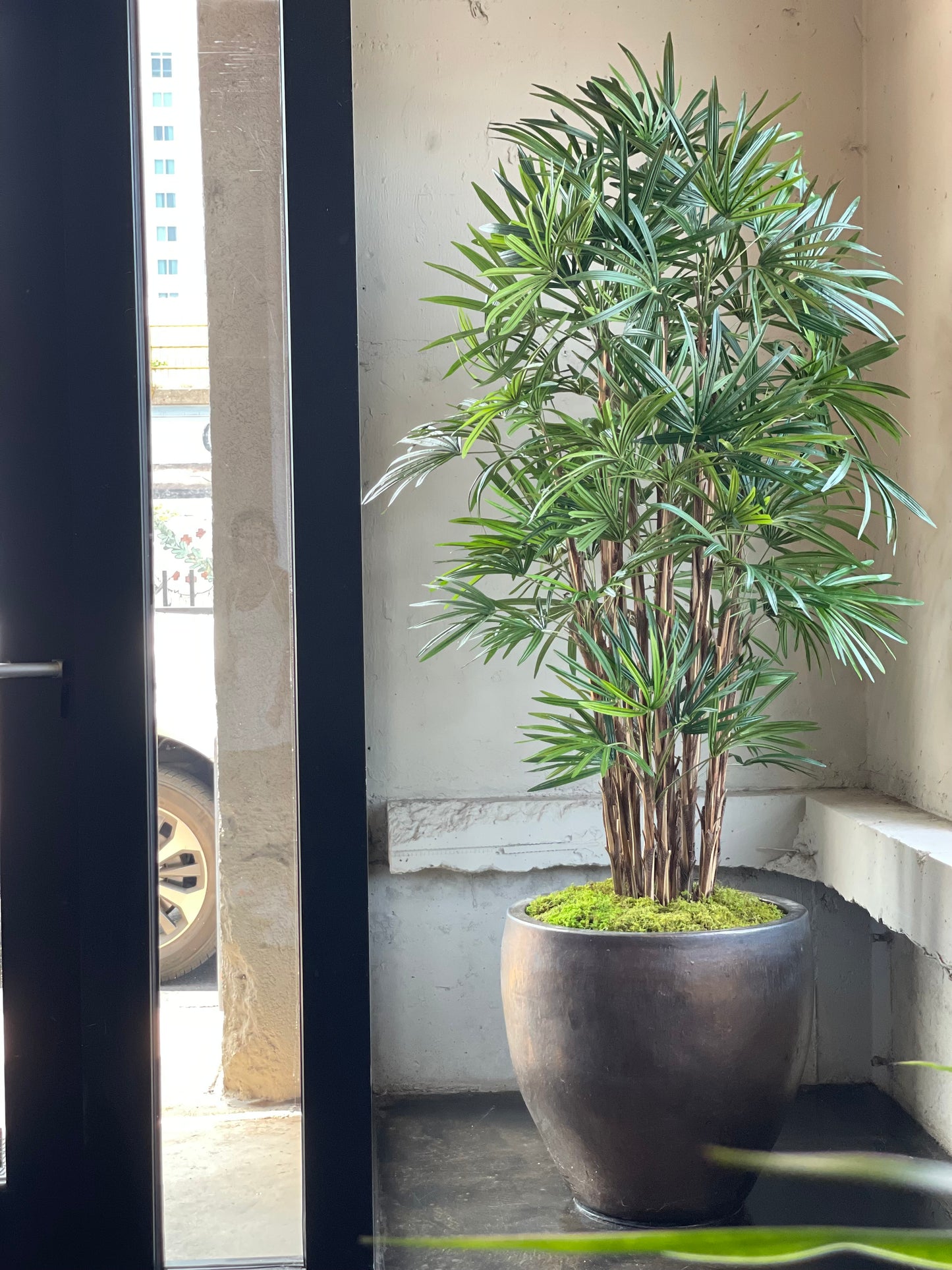 *For Gayla W.* XL 7ft Faux Honey Rhapis Palm Tree
