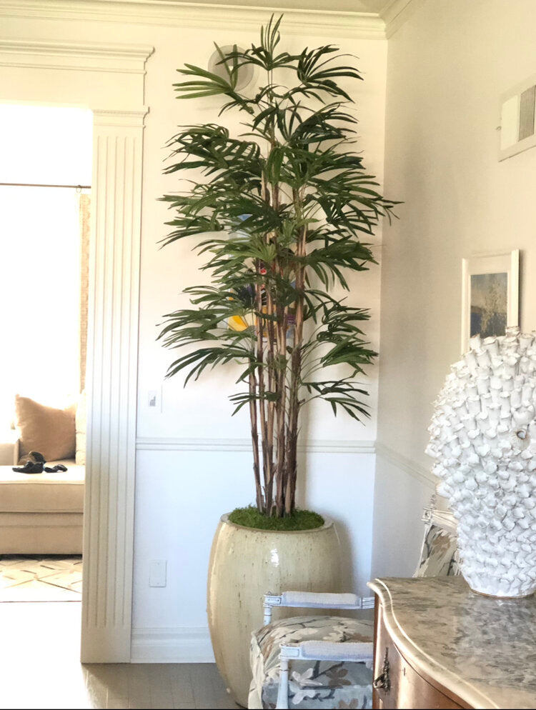 7ft Faux Honey Rhapis Palm Tree
