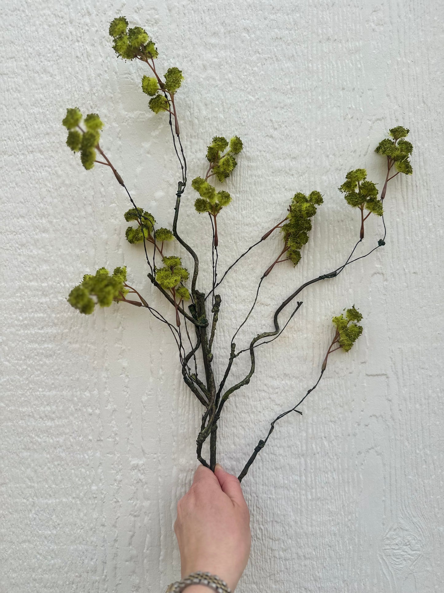 Irish Moss Spray - 23”