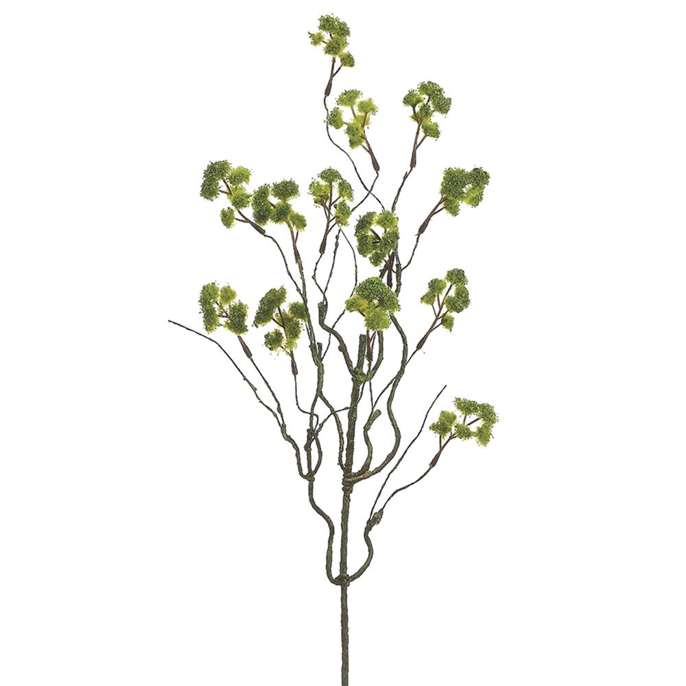 Irish Moss Spray - 23”