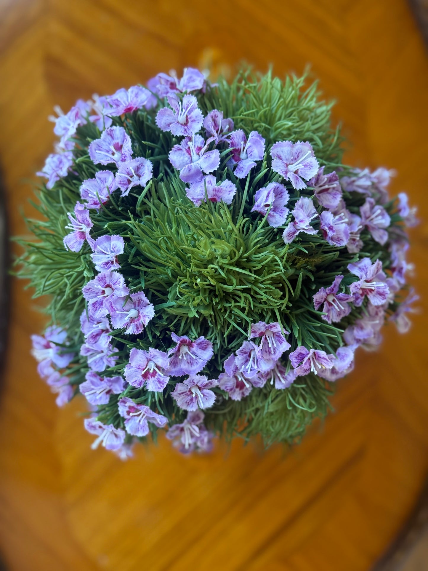 Blue and White Chinoiserie Pot + Blooming Dianthus