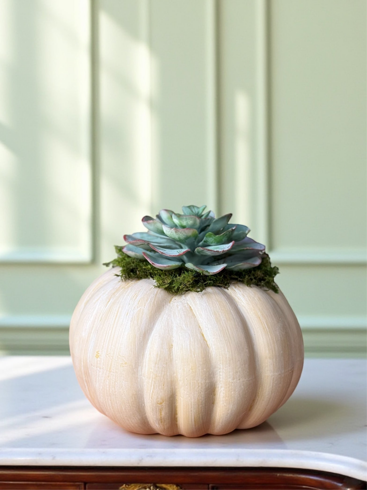 Small Light Orange Faux Fairytale Pumpkin + 1 Faux Succulent