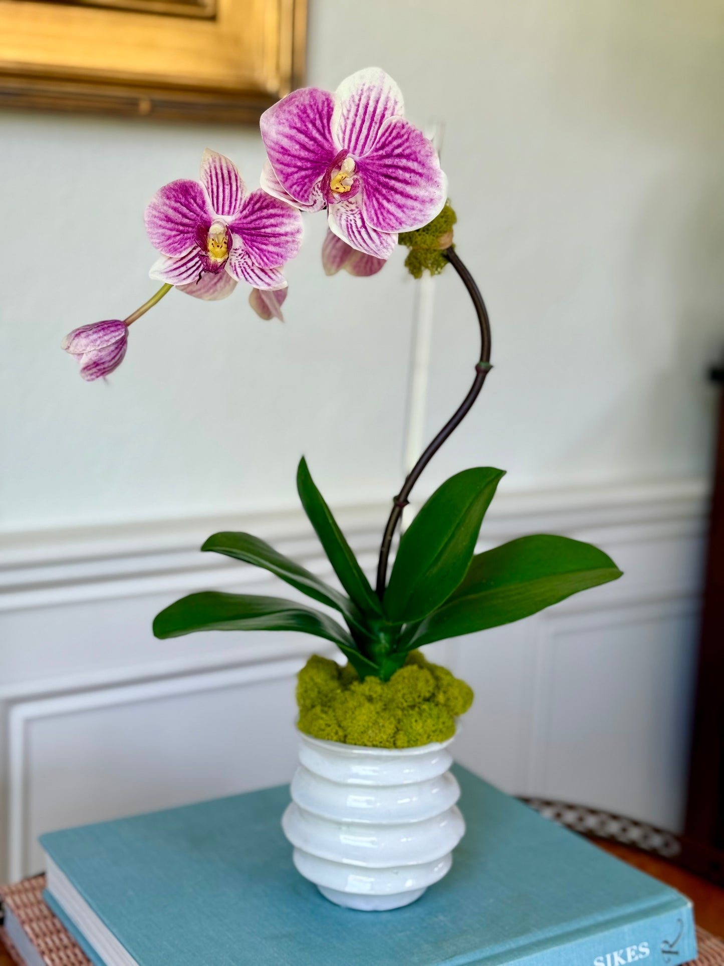 Mini White Wave Pot + 1 Petite Fuchsia Orchid