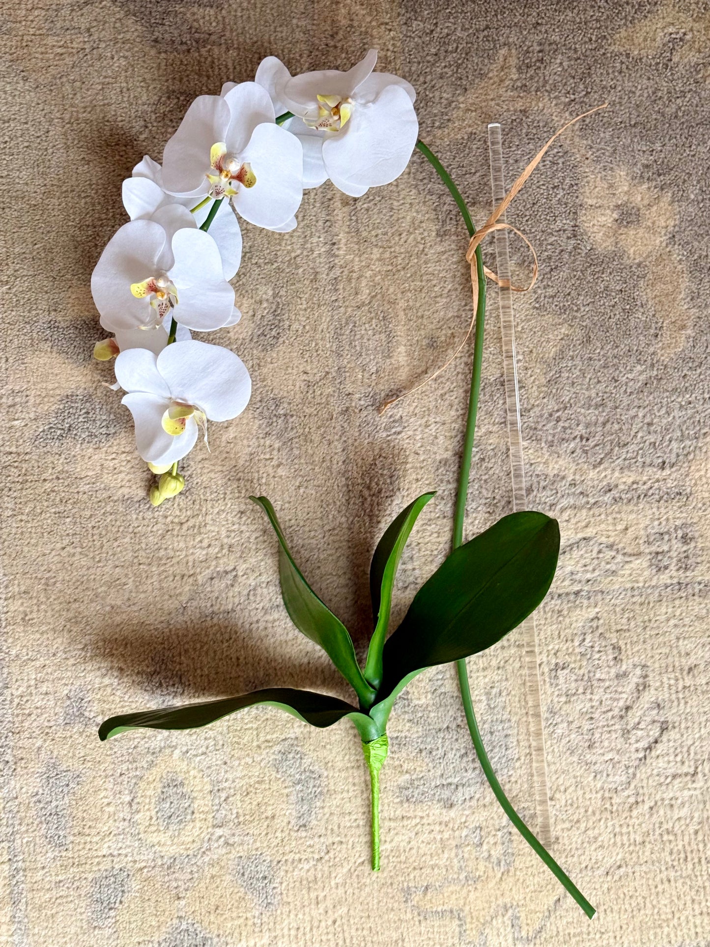 DIY White Orchid Kit - 1 Stem