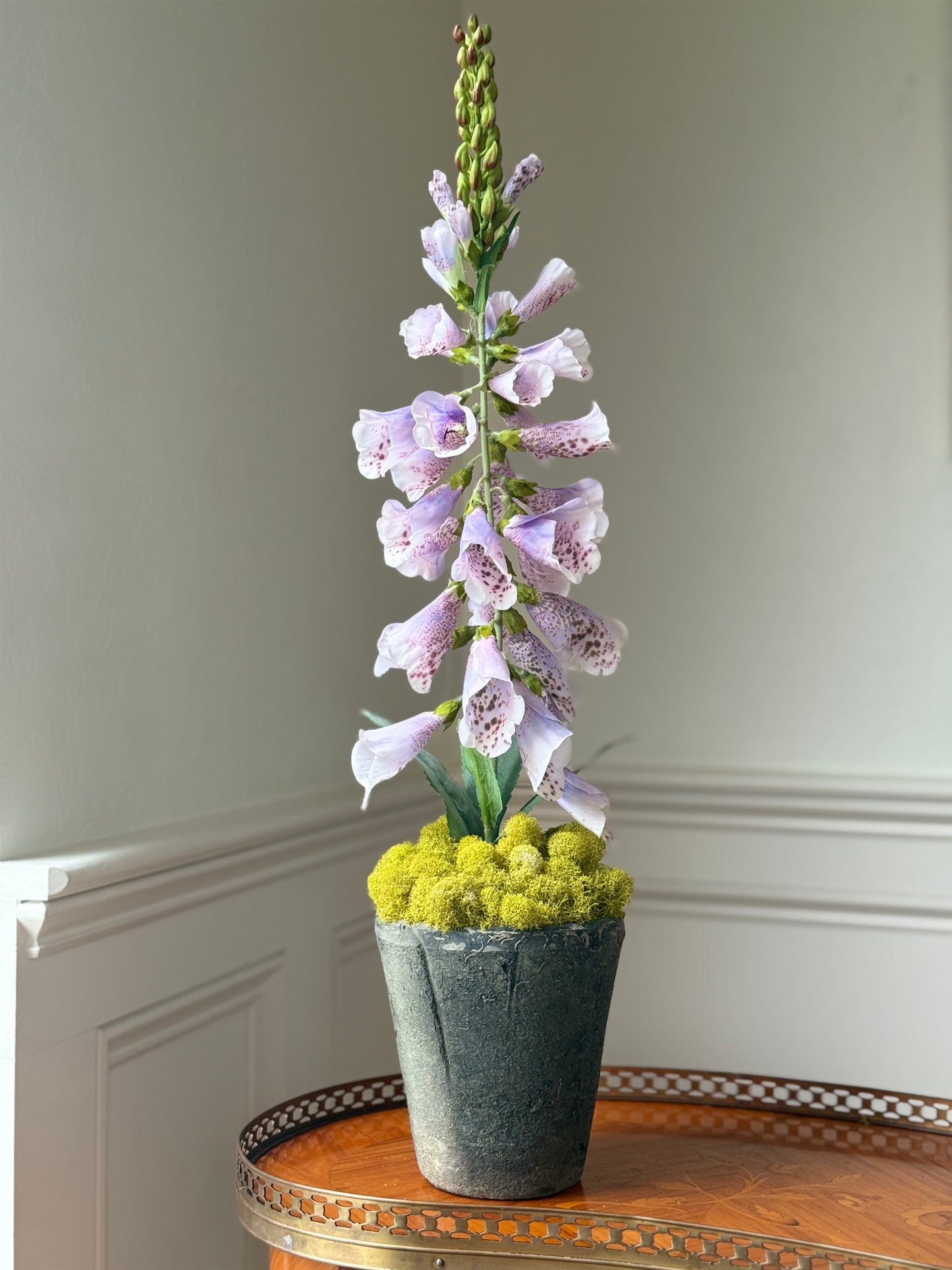 Lavender Faux Foxglove + Ash Terracotta Pot