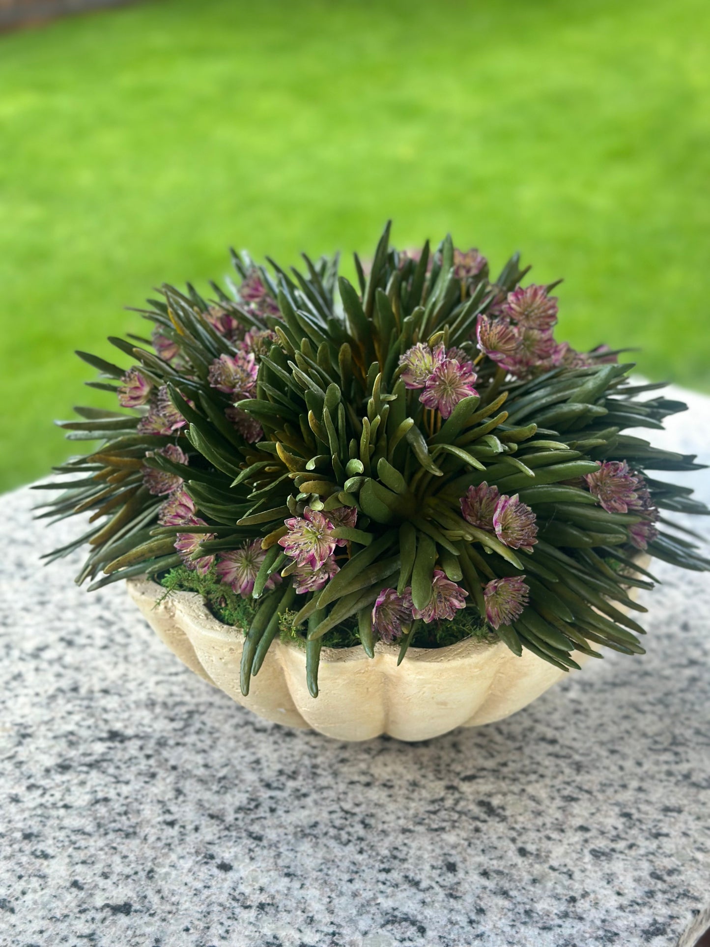 Della Bowl + Faux Finger Succulents & Pink Nigella