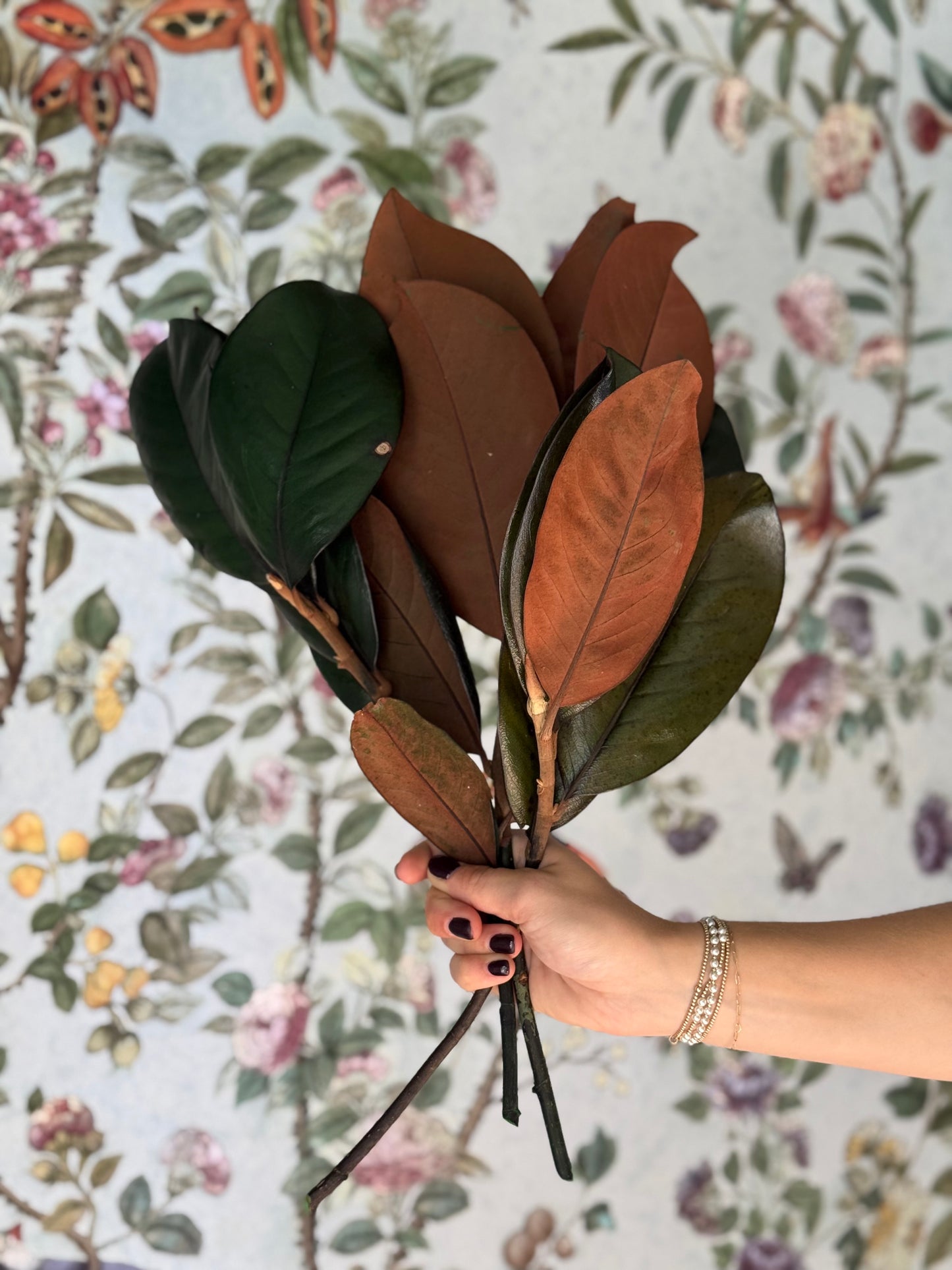 Preserved Magnolia Branches: Bundle of 3