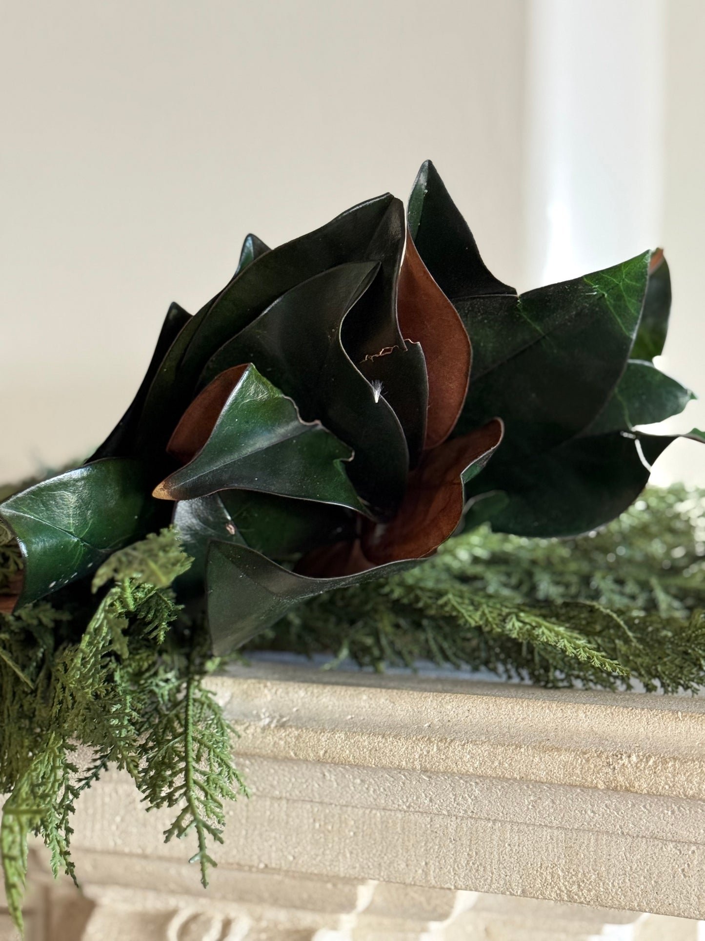 Preserved Magnolia Branches: Bundle of 3