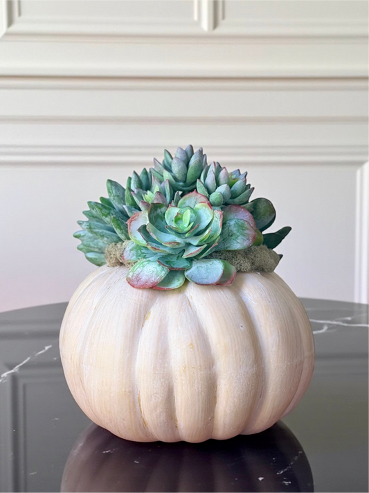Small Light Orange Faux Fairytale Pumpkin + 1 Faux Succulent
