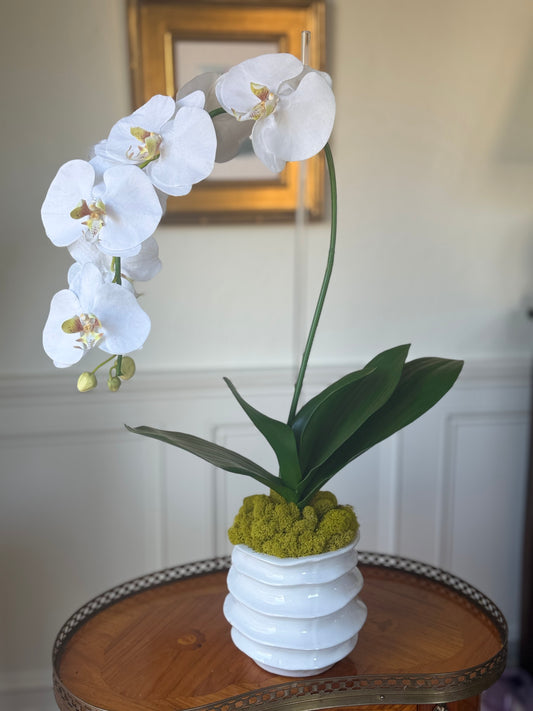 Winnie Pot + 1 Classic White Faux Orchid