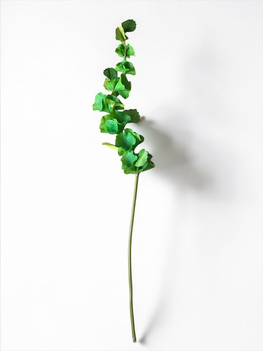 Bells of Ireland Stem/ea.