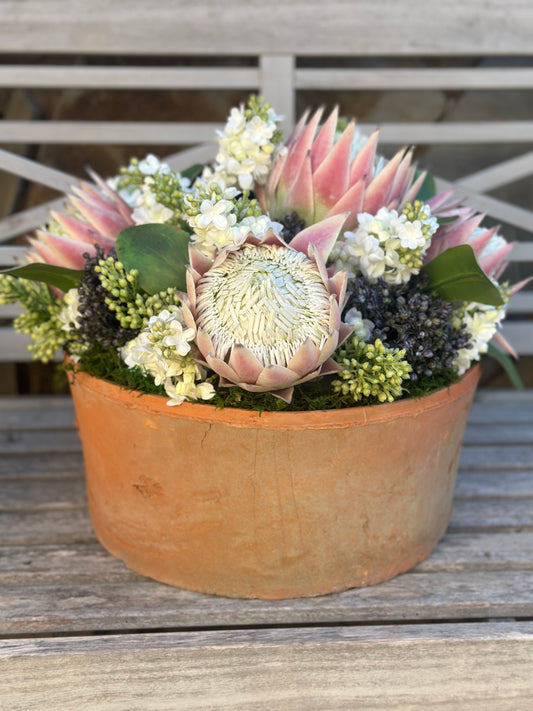 Terracotta Bowl + Protea, Sedum, & Lilac Mix