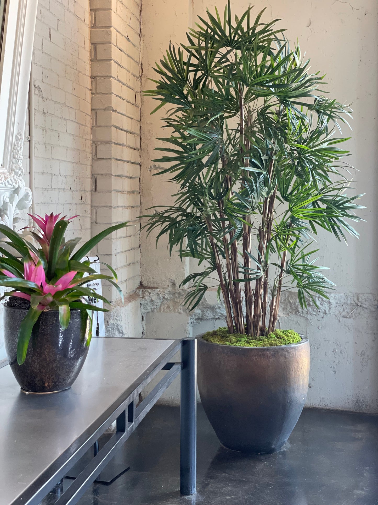 *For Gayla W.* XL 7ft Faux Honey Rhapis Palm Tree