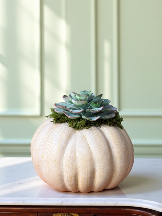 Small Light Orange Faux Fairytale Pumpkin + 1 Faux Succulent