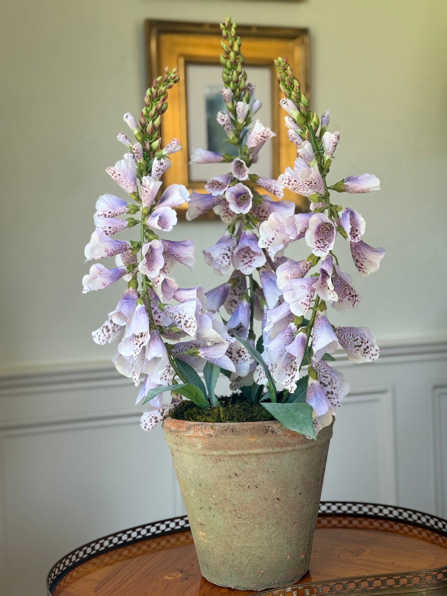 Terra Cotta Bowl + 3 Lavender Foxgloves