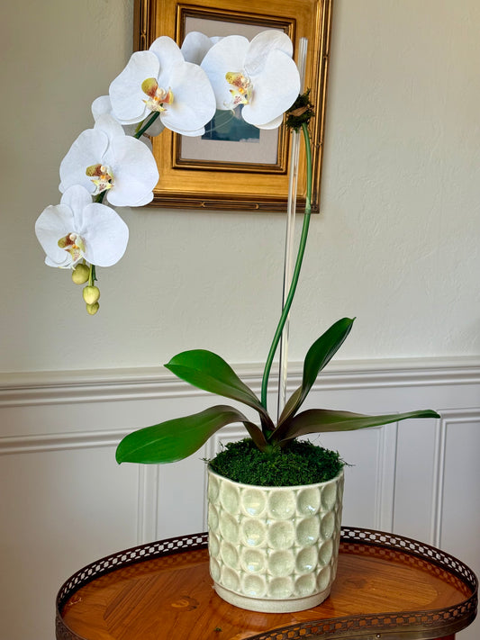 Sage Embossed Planter + 1 Classic White Faux Orchid