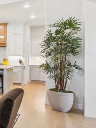 PREORDER: 7ft Faux Honey Rhapis Palm Tree (ETA mid July)