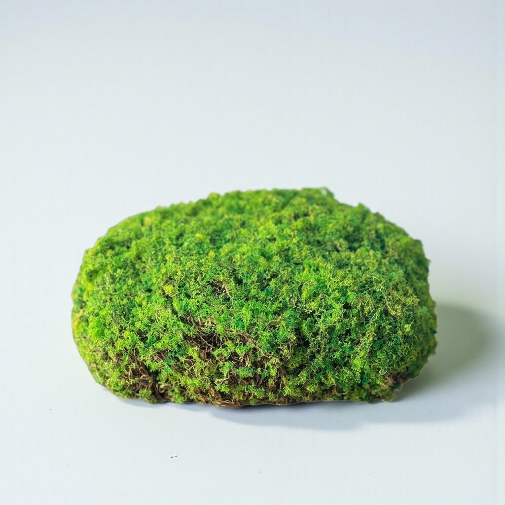 10” Moss Mound (medium)