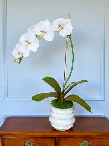 Wave Pot + 1 Classic White Faux Orchid