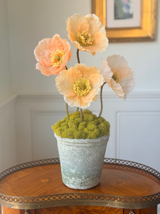 Cream Terra Cotta Pot + 4 Faux Mixed Peach Poppies
