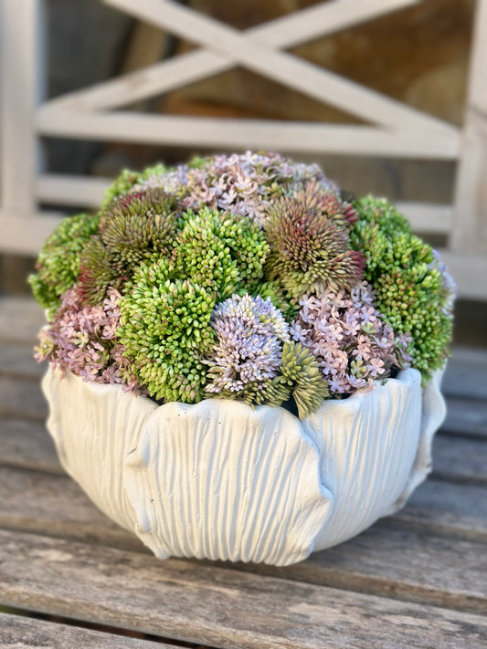 White Leaf Bowl + Lavender Sedum Mix