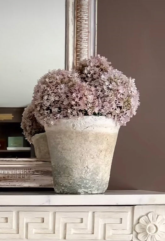 Mossy Cream Terracotta Pot + Faux Allium Bundle