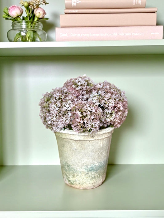 Mossy Cream Terracotta Pot + Faux Allium Bundle