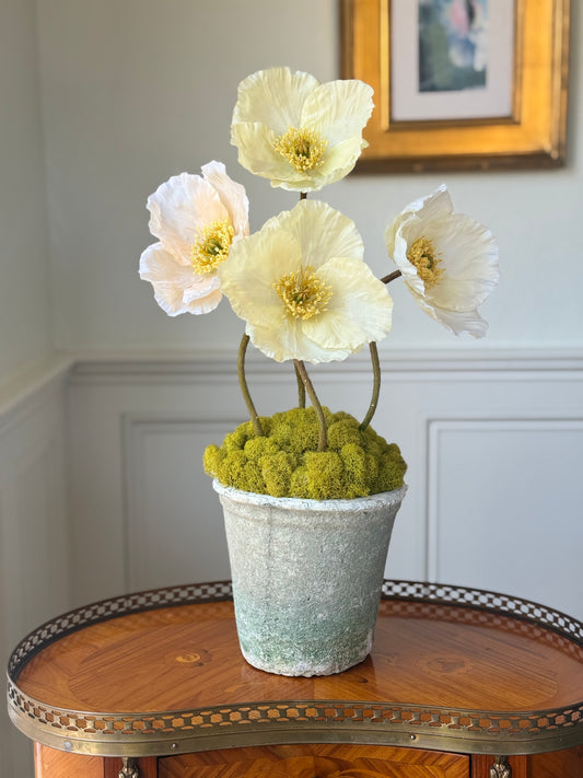 Cream Terra Cotta Pot + 4 Faux Mixed Cream Poppies