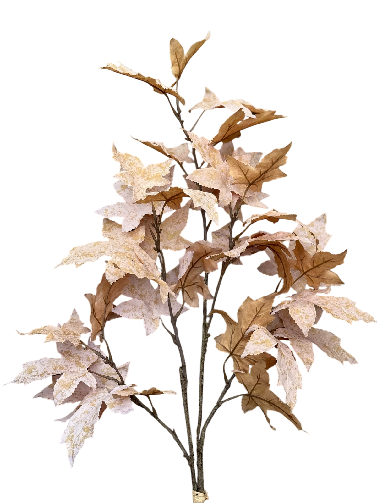 24” Maple Leaf Bundle (2)